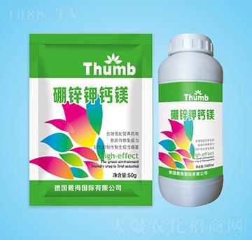 ���\��}�V-����r(n��ng)�I(y��)