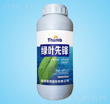 �G�~���h-����r(n��ng)�I(y��)