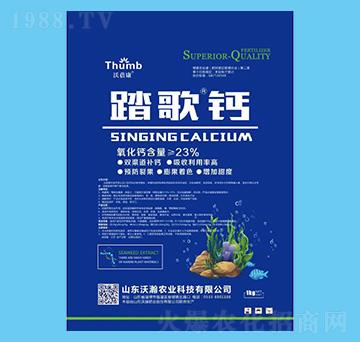 ̤�衤�}-������-����r(n��ng)�I(y��)