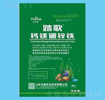 ̤�衤�}�V���\�F-������-����r(n��ng)�I(y��)