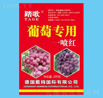 ���ь���һ���t-̤��-����r(n��ng)�I(y��)