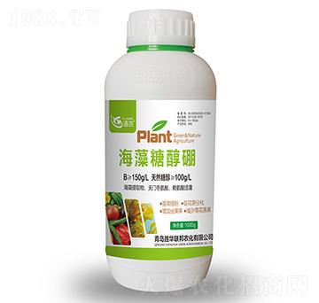 �����Ǵ���-�Z(y��)�r(n��ng)-���A(li��n)��