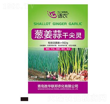 �[����ɼ��`-�Z(y��)�r(n��ng)-���A(li��n)��