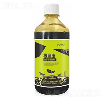 ��ϼ�������-������-̩����