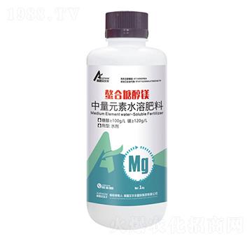 �����Ǵ��V��ƿ��-��¶�����S