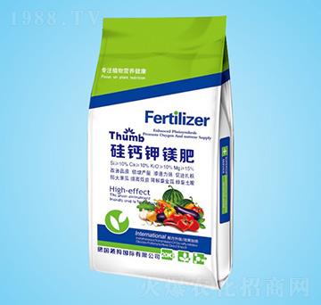 ���}��V��-����r(n��ng)�I(y��)