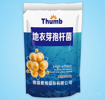 ����ѿ�ߗU��-����r(n��ng)�I(y��)