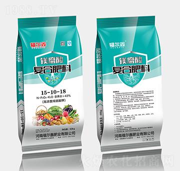 �V����ͺϷ�15-10