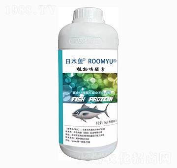 ֲ�����-�ձ��~-��˹�r