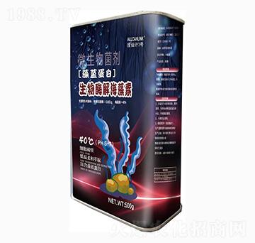 ����ø�⺣����-���{����-����Ӌ1̖-��˹�r