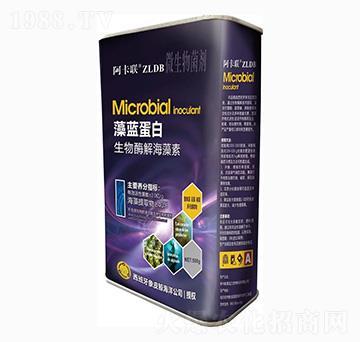 ����ø�⺣����-���{����-����-��˹�r