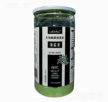 ����ø�⺣����-���{��-��˹�r