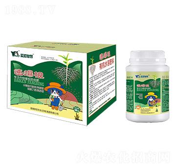 有機水溶肥料-速爆根-藍貓智慧