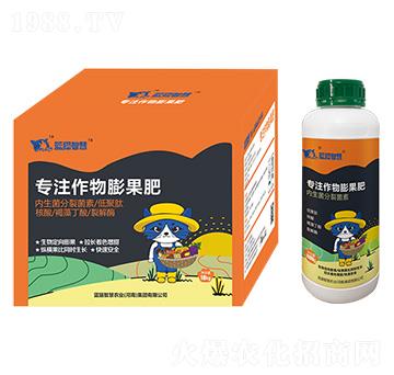 專注作物膨果肥-藍貓智慧