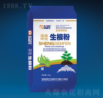 ����ך�������-��(��i)����