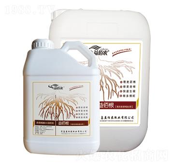 ΢�������-��۸�-����r(n��ng)�ʘI(y��)