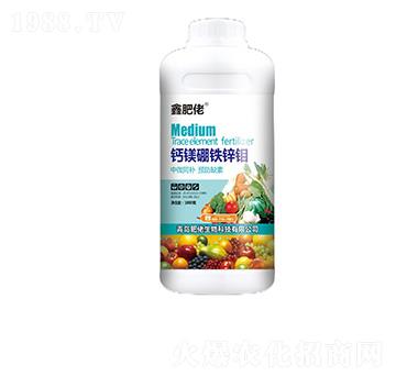 �}�V���F�\�f-�η���-