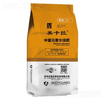 ������������}�V-������-���P