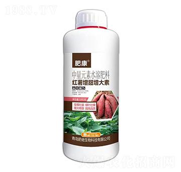 1000������Ԫ��ˮ��