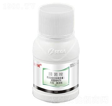 40%�����-����-��