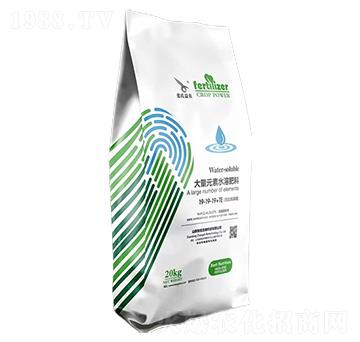 ����Ԫ��ˮ�ܷ���19-19-19+TE-�������r(n��ng)