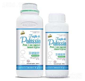 �������-��˹��