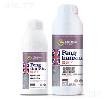 ������-�۶�����