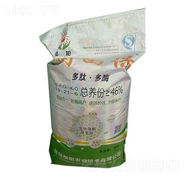 ���ġ���ø�������19-21-6-��(r��n)�ﱣ-���(y��ng)�r(n��ng)�I(y��)