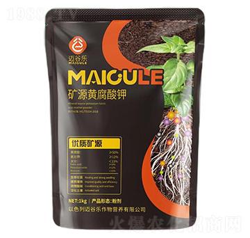 �VԴ�S�����-�~�Ș�(l��)