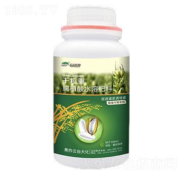 ǧ����-��ֲ��ˮ�ܷ���-���_(t��i)��