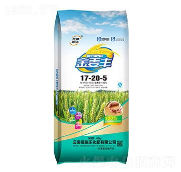 ��(f��)�Ϸ���17-20-5-�����S-��ʩ��(l��)����