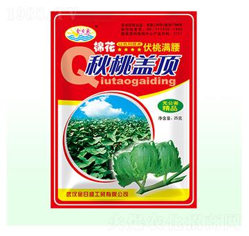 �޻������w�-����ʢ-��Դ��ʘI(y��)