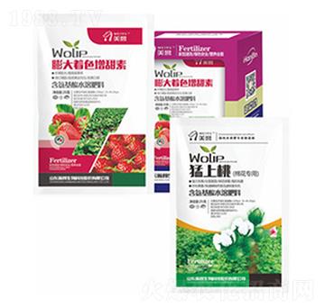 ������-嫰�����