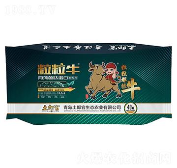 ��������������ĵ���-���ɹ�