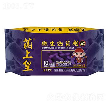 ���ϻ�΢�������-���ɹ�