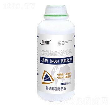 ֲ�ROS����������-��?sh��)°? />
                                </div>
                            </div>
                            
                            <style type=