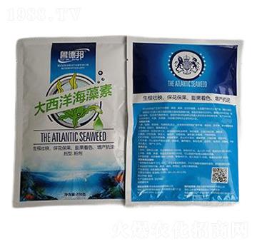 ����������-���°�