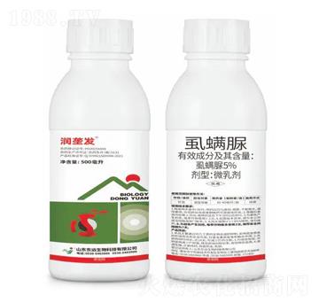 5%ʭ����΢�鄩-��(r��n)��