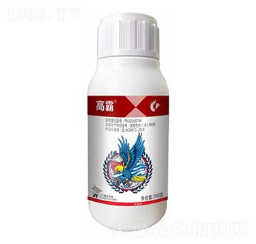 3%�׾S�������-�߰�-����¡����