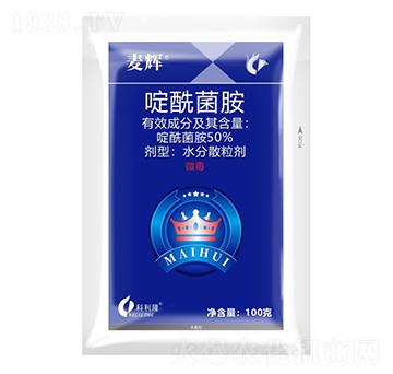 50%�������-���x-����¡����