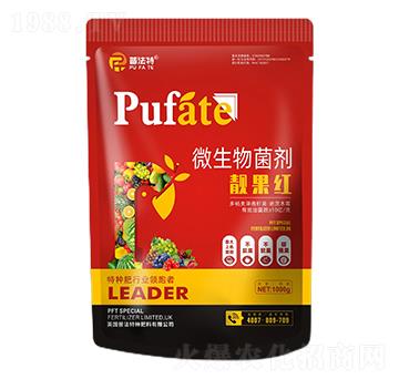 ΢�������-�n���t-�շ���