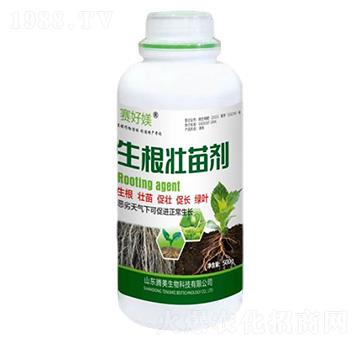 �������焩-�v������