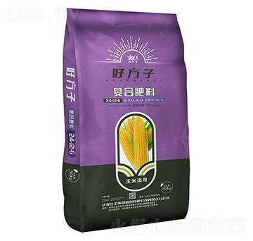 �����m�ÏͺϷ���24-12-6-�÷���-�A���������F