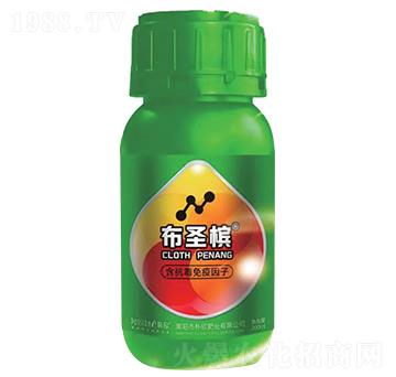 ��ʥ��������ʿ������