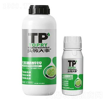 �����Ǵ��\-�^�ȴ���-