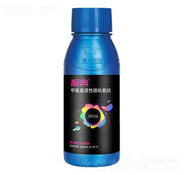 ������͸����������-�n��-���A�r�I(y��)