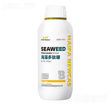 ���������-�~����-���r�W��