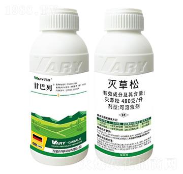 480��/�������-�ʰ���-�f��