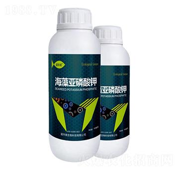 ���偆�����-���A��