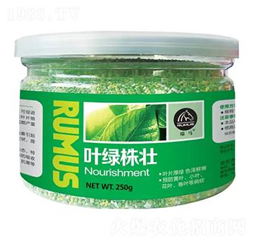 �~�G���-�̶�����